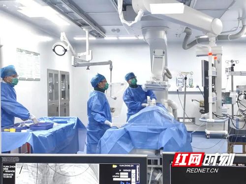 汝城縣人民醫(yī)院獲評(píng)心血管疾病防治技術(shù)牽頭單位，引領(lǐng)區(qū)域健康服務(wù)新篇章